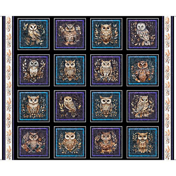 Night Owl Picture Patches Panel