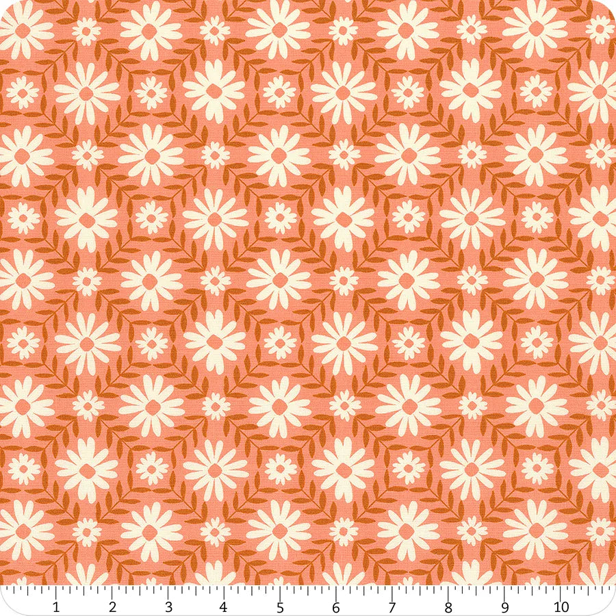 Endpaper Bashful