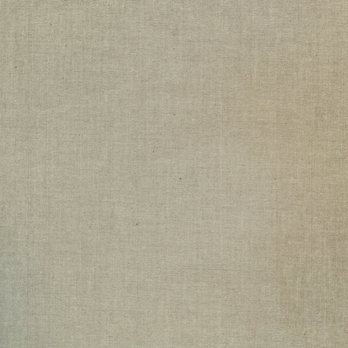 Pepper Peppered Cotton #31