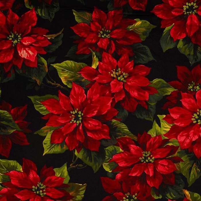 Black & Scarlet Poinsettia 3-Yard Precut 108" Backing