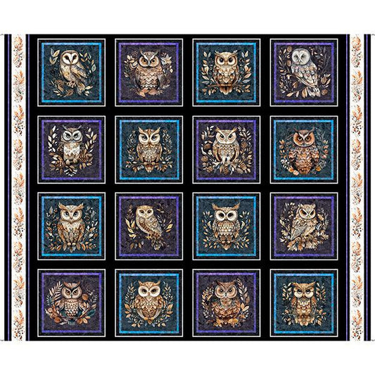 Night Owl Picture Patches Panel