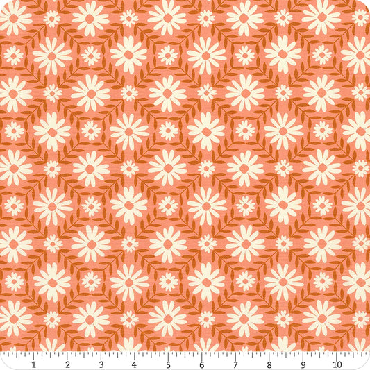Endpaper Bashful
