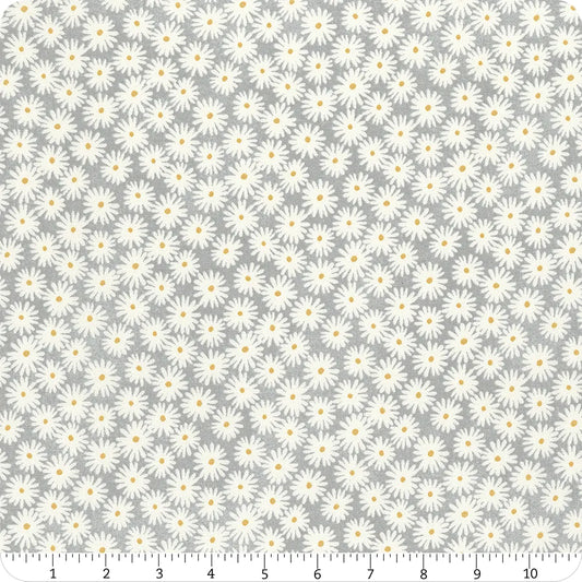 Sunny Safari Grey Daisy