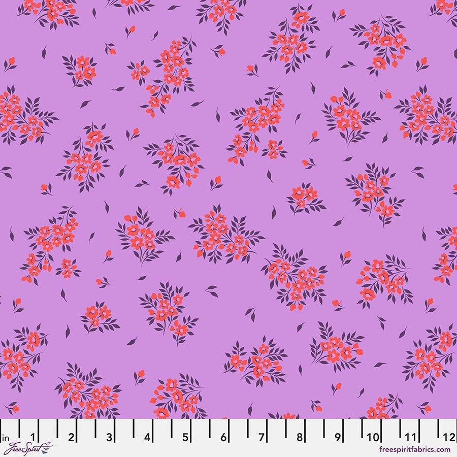 What a Ditz Heliotrope