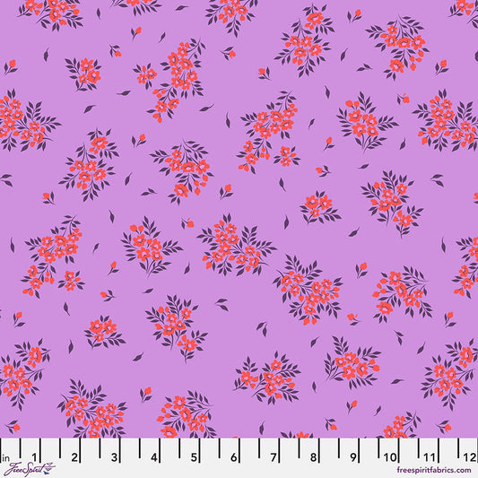 What a Ditz Heliotrope
