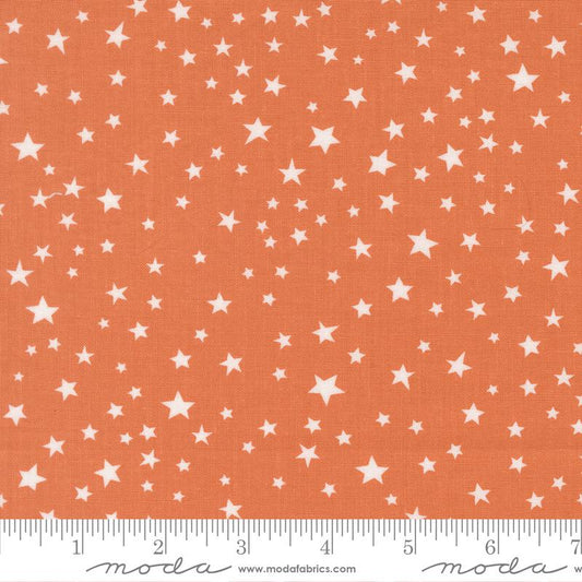 Purrs and Boos Pumpkin 39066-17